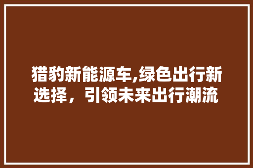 猎豹新能源车,绿色出行新选择，引领未来出行潮流