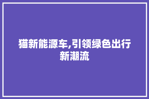 猫新能源车,引领绿色出行新潮流 变速箱配件