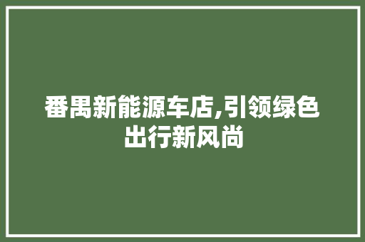 番禺新能源车店,引领绿色出行新风尚