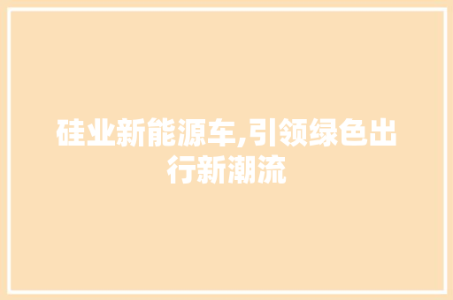 硅业新能源车,引领绿色出行新潮流