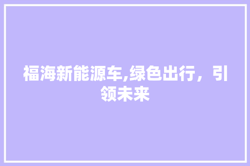 福海新能源车,绿色出行，引领未来