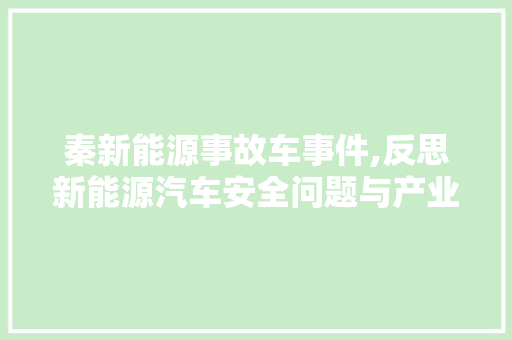 秦新能源事故车事件,反思新能源汽车安全问题与产业未来