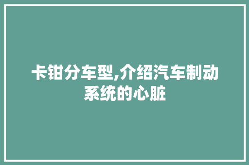卡钳分车型,介绍汽车制动系统的心脏