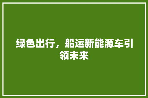 绿色出行，船运新能源车引领未来