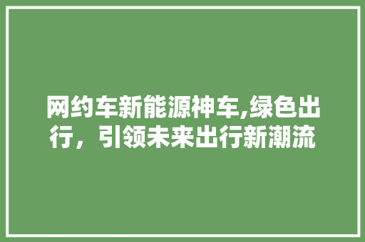 网约车新能源神车,绿色出行，引领未来出行新潮流