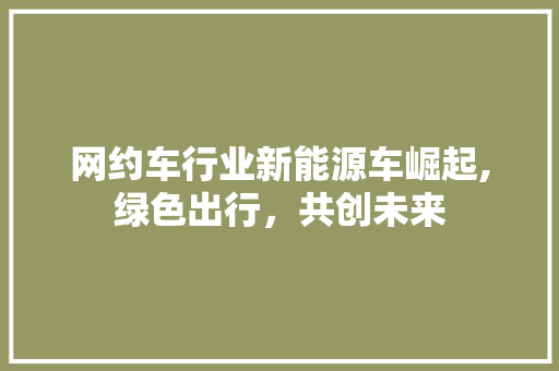 网约车行业新能源车崛起,绿色出行，共创未来