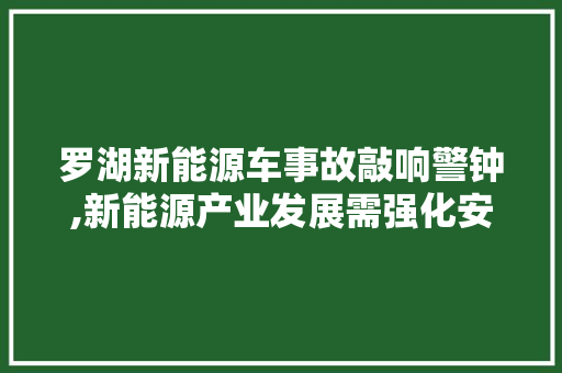 罗湖新能源车事故敲响警钟,新能源产业发展需强化安全监管