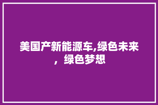 美国产新能源车,绿色未来，绿色梦想
