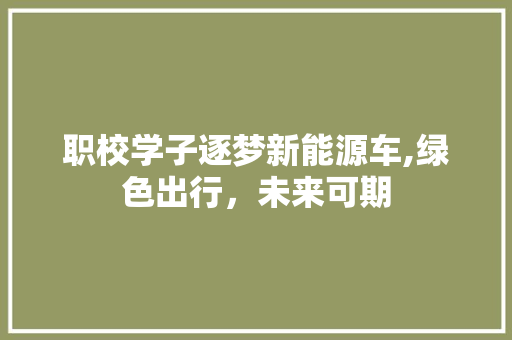 职校学子逐梦新能源车,绿色出行，未来可期