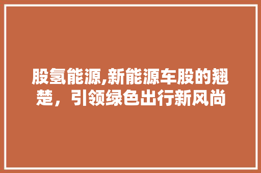 股氢能源,新能源车股的翘楚，引领绿色出行新风尚