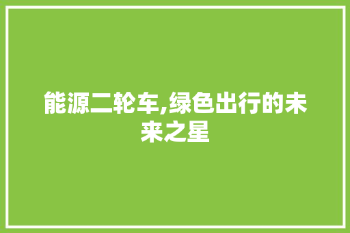 能源二轮车,绿色出行的未来之星