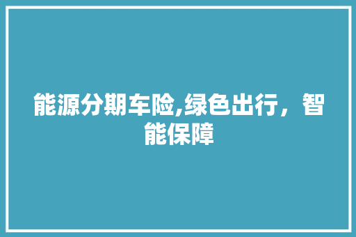 能源分期车险,绿色出行，智能保障