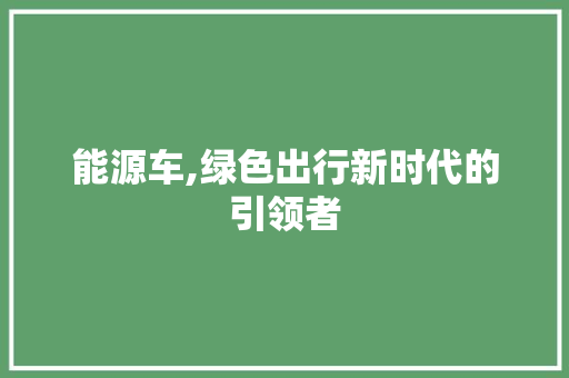 能源车,绿色出行新时代的引领者