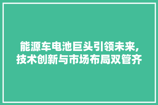 能源车电池巨头引领未来,技术创新与市场布局双管齐下