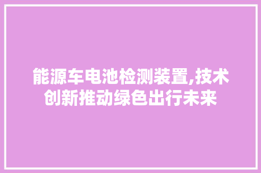 能源车电池检测装置,技术创新推动绿色出行未来