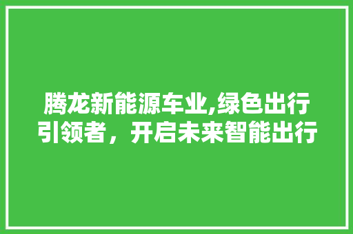 腾龙新能源车业,绿色出行引领者，开启未来智能出行新篇章