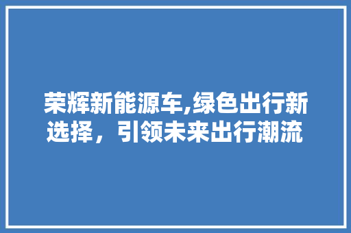 荣辉新能源车,绿色出行新选择，引领未来出行潮流