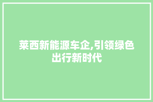 莱西新能源车企,引领绿色出行新时代