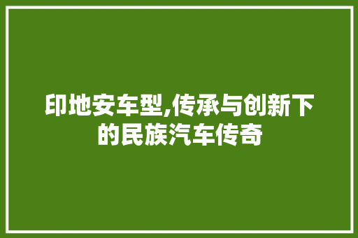 印地安车型,传承与创新下的民族汽车传奇