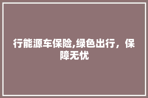 行能源车保险,绿色出行，保障无忧