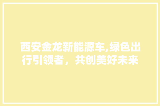 西安金龙新能源车,绿色出行引领者，共创美好未来