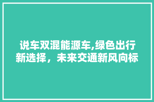 说车双混能源车,绿色出行新选择，未来交通新风向标