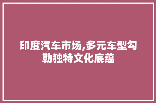 印度汽车市场,多元车型勾勒独特文化底蕴