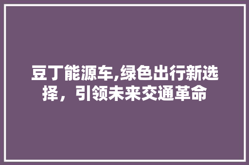 豆丁能源车,绿色出行新选择，引领未来交通革命 车身配件