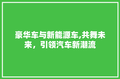 豪华车与新能源车,共舞未来，引领汽车新潮流