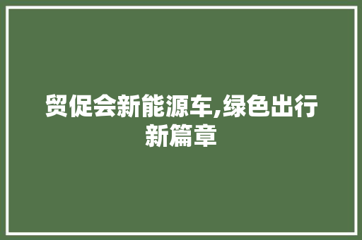 贸促会新能源车,绿色出行新篇章