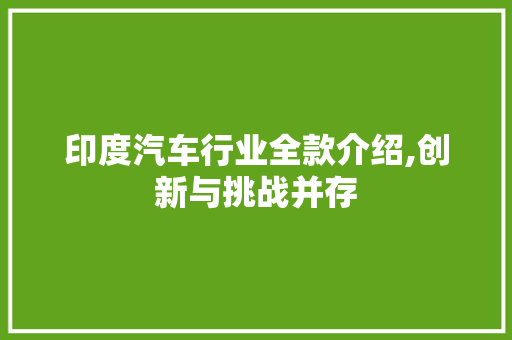 印度汽车行业全款介绍,创新与挑战并存