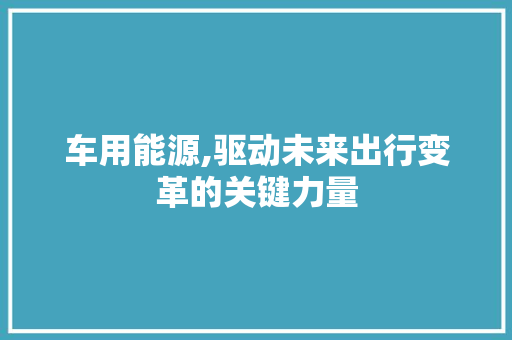 车用能源,驱动未来出行变革的关键力量