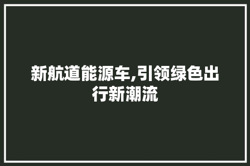 新航道能源车,引领绿色出行新潮流