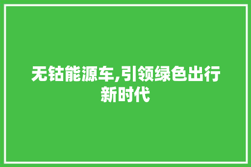 无钴能源车,引领绿色出行新时代