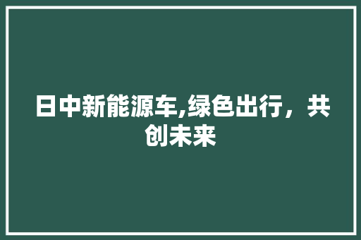 日中新能源车,绿色出行，共创未来