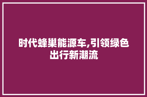 时代蜂巢能源车,引领绿色出行新潮流