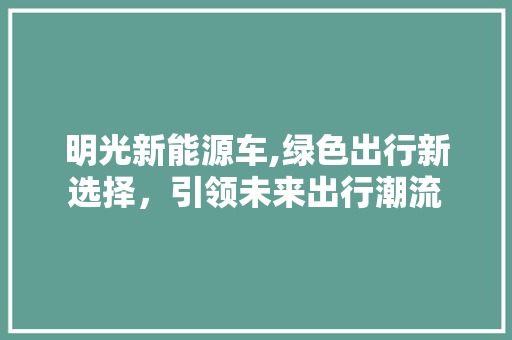 明光新能源车,绿色出行新选择，引领未来出行潮流