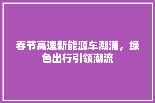 春节高速新能源车潮涌，绿色出行引领潮流