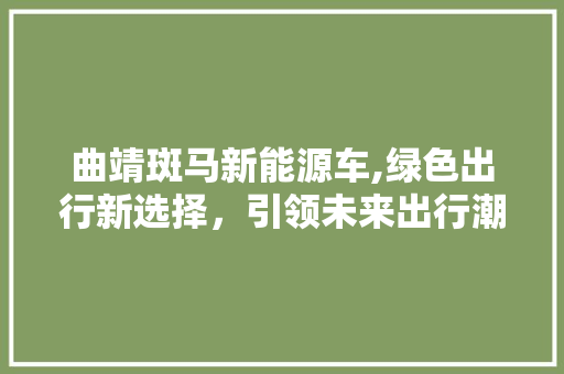 曲靖斑马新能源车,绿色出行新选择，引领未来出行潮流 蓄电池配件