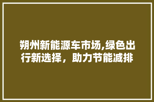朔州新能源车市场,绿色出行新选择，助力节能减排