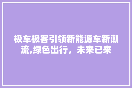 极车极客引领新能源车新潮流,绿色出行，未来已来