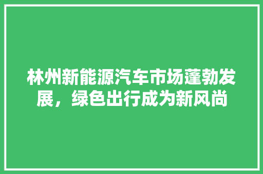 林州新能源汽车市场蓬勃发展，绿色出行成为新风尚