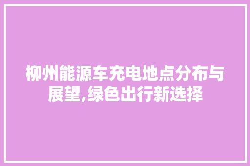 柳州能源车充电地点分布与展望,绿色出行新选择