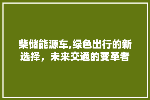 柴储能源车,绿色出行的新选择，未来交通的变革者