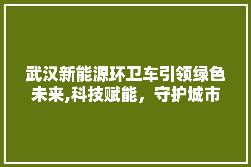 武汉新能源环卫车引领绿色未来,科技赋能，守护城市清洁
