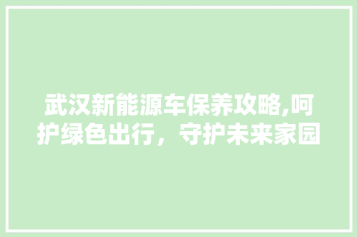 武汉新能源车保养攻略,呵护绿色出行，守护未来家园