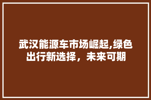 武汉能源车市场崛起,绿色出行新选择，未来可期