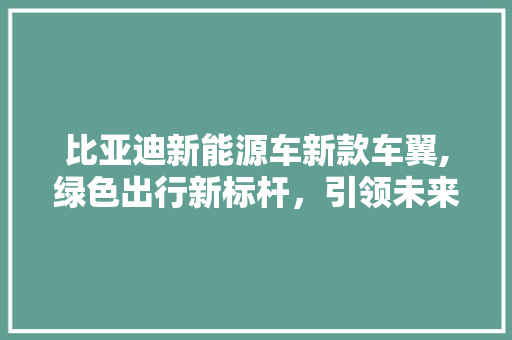 比亚迪新能源车新款车翼,绿色出行新标杆，引领未来交通潮流