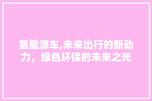 氢能源车,未来出行的新动力，绿色环保的未来之光