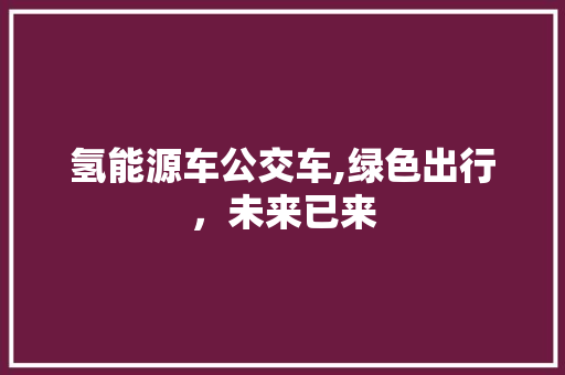 氢能源车公交车,绿色出行，未来已来